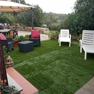 Bandi San Teodoro (Sardinia)